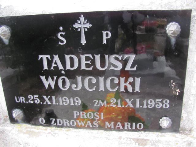 Tadeusz Wójcicki 1919 Jedlicze i Potok - Grobonet - Wyszukiwarka osób pochowanych